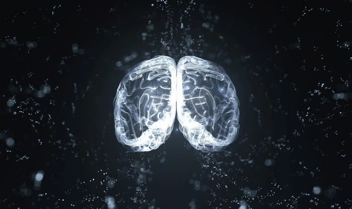 Využíváme modely umělé inteligence